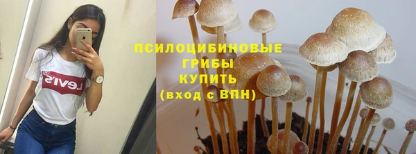 метадон Абаза