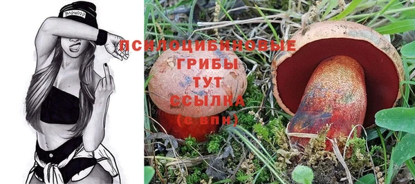 мяу мяу мука Абинск