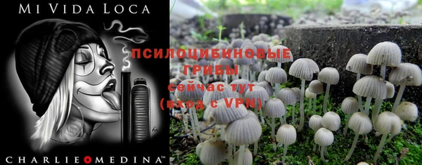 стафф Алексеевка