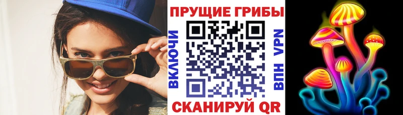 даркнет сайт Новопавловск kraken ТОР Псилоцибиновые грибы ЛСД